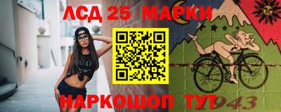 индика Кулебаки