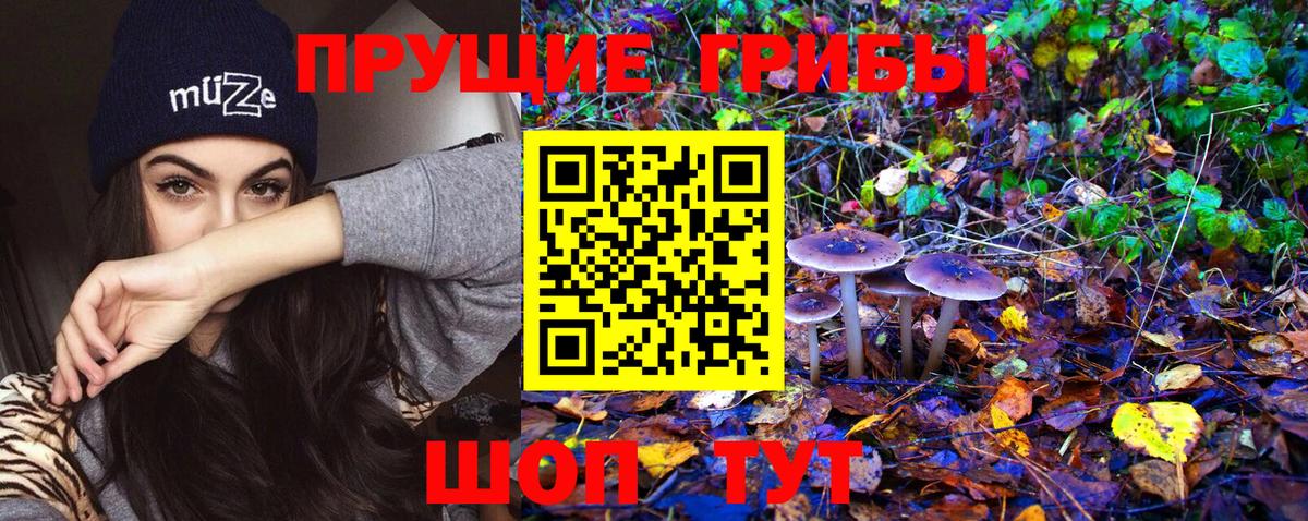 Псилоцибиновые грибы GOLDEN TEACHER Кимовск